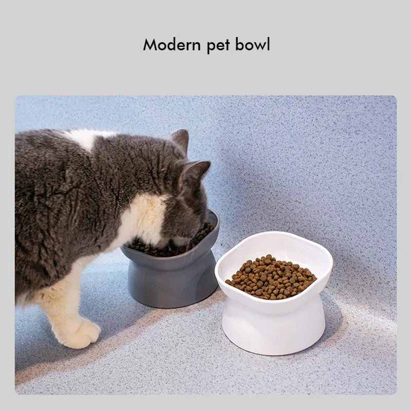 Modern Raised Cat Bowl