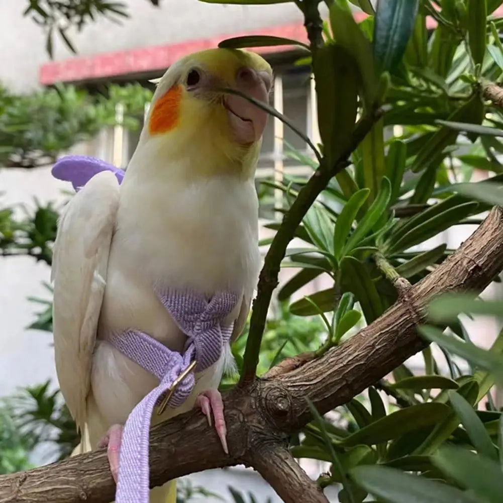 Comfortable Bird Walking Harness