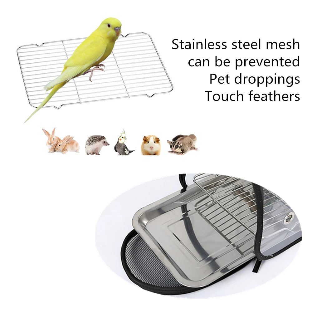 Compact Transparent Bird Carrier