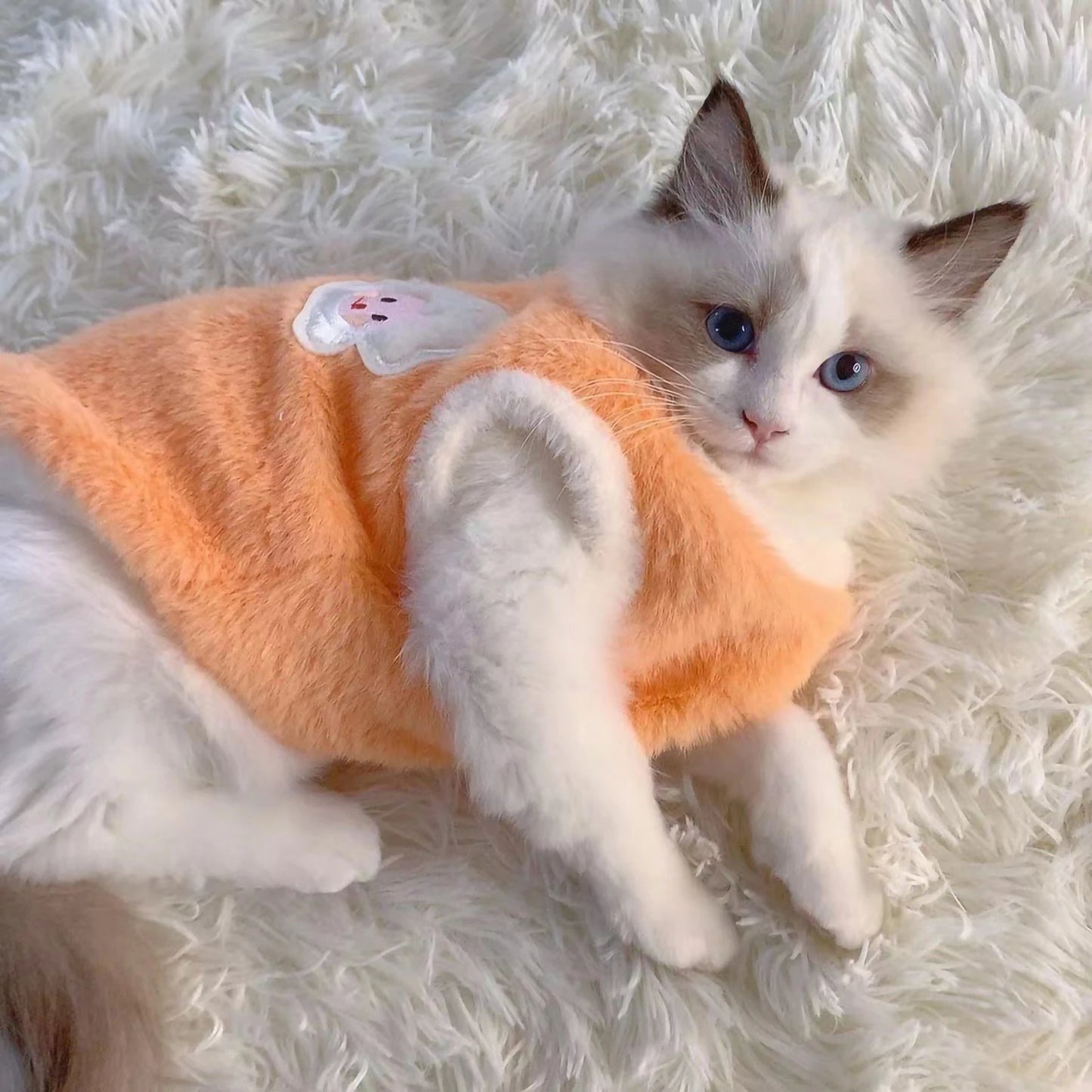 Plush Cozy Cat Sweater