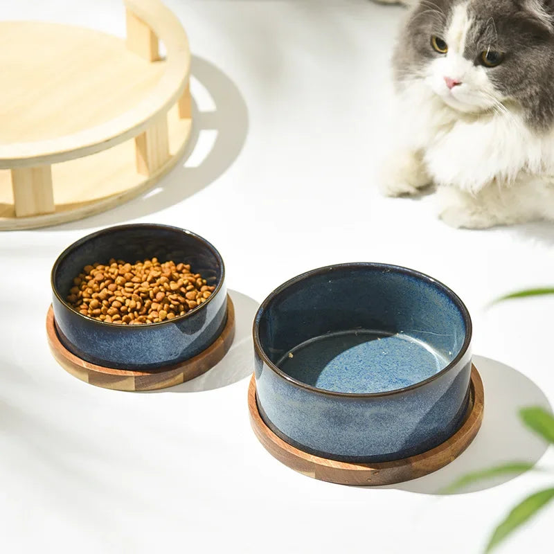 Modern Ceramic Dog Bowl