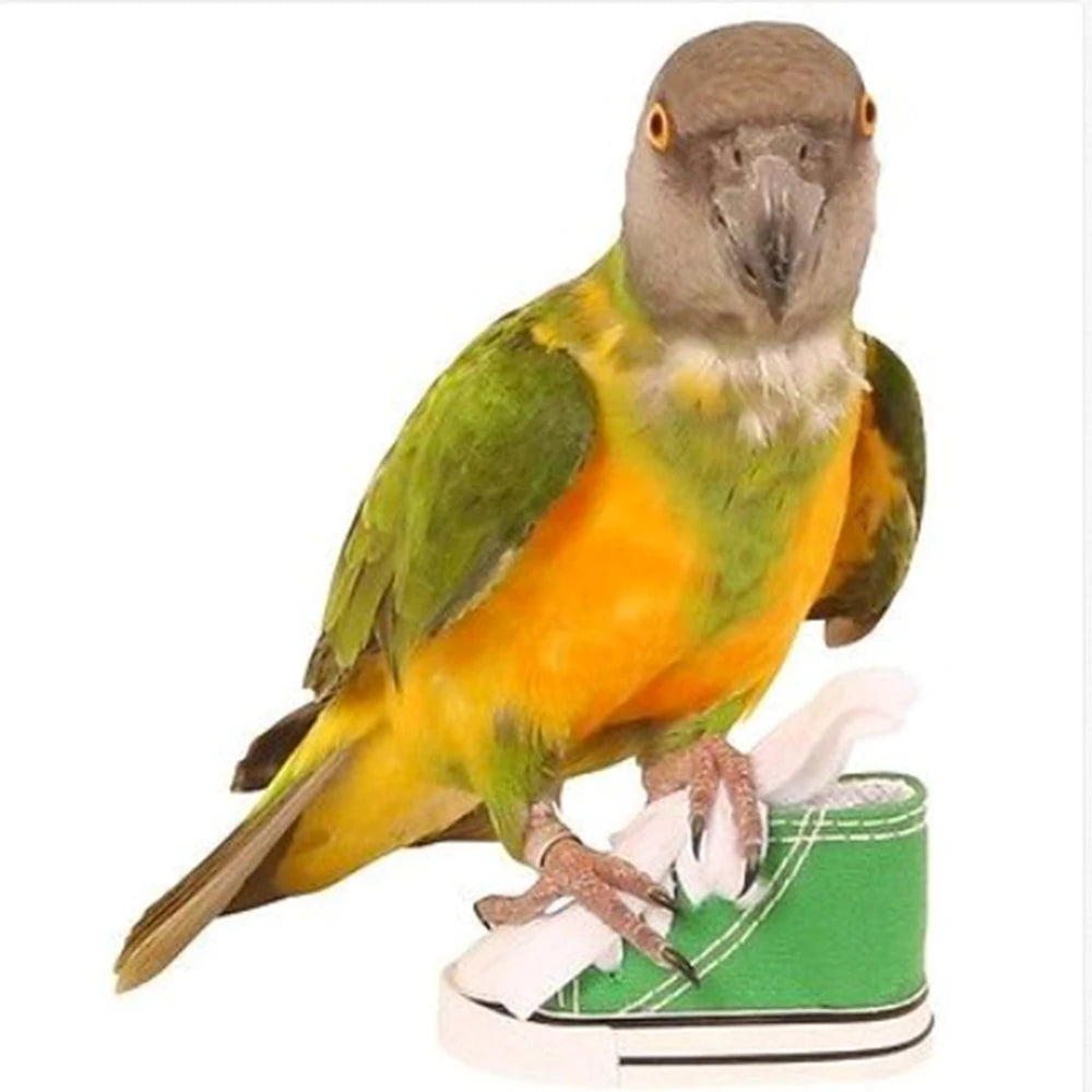 Playful Sneaker Bird Toy