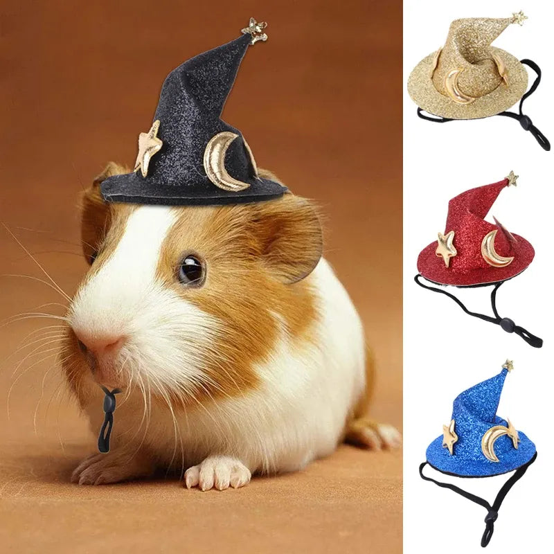 Magical Hamster Wizard Hat