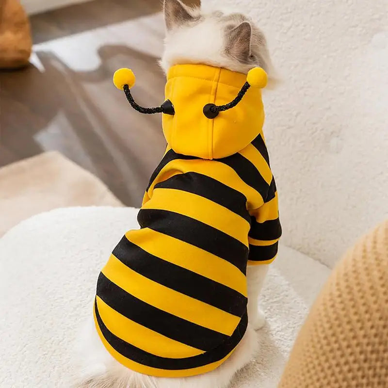 Funny Bee Cat Apparel