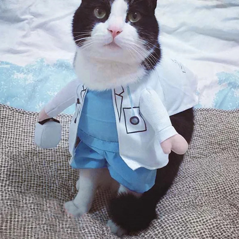 Professional Cat Doctor Costume