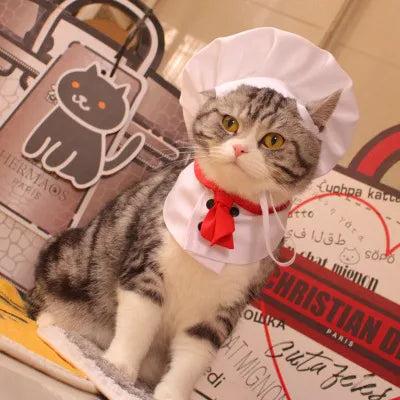 Fun Cat Chef Costume