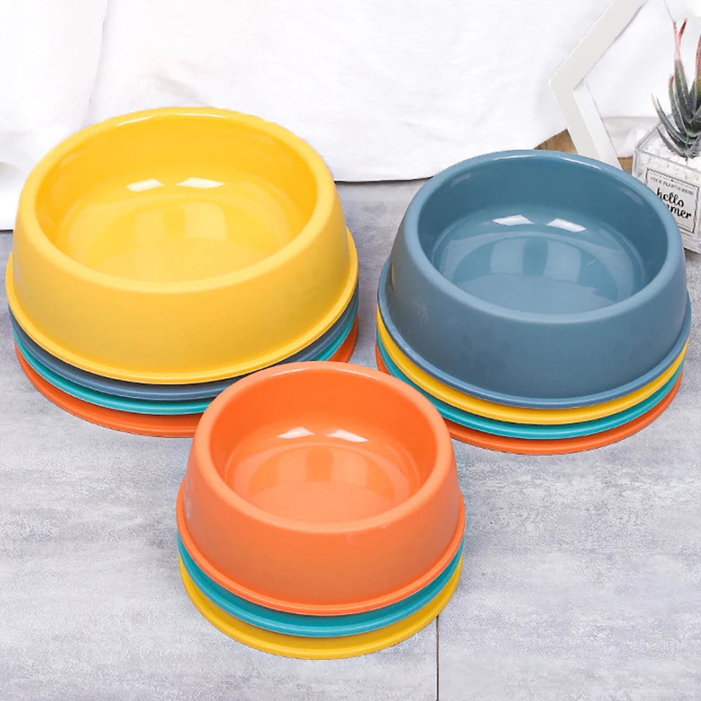 Colorful Pet Feeding Bowl