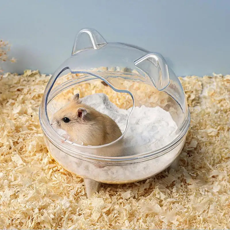 Fully Transparent Hamster Bath