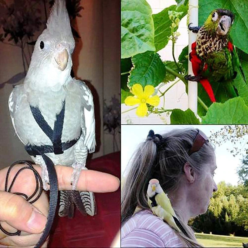 Adjustable Parrot Safety Harness