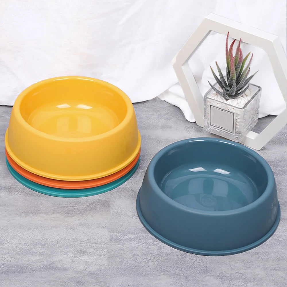 Colorful Pet Feeding Bowl