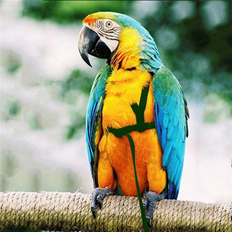 Adjustable Parrot Safety Harness