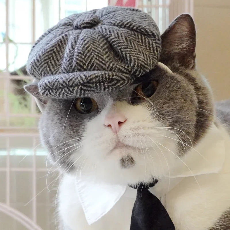 Elegant Cat Newsboy Cap