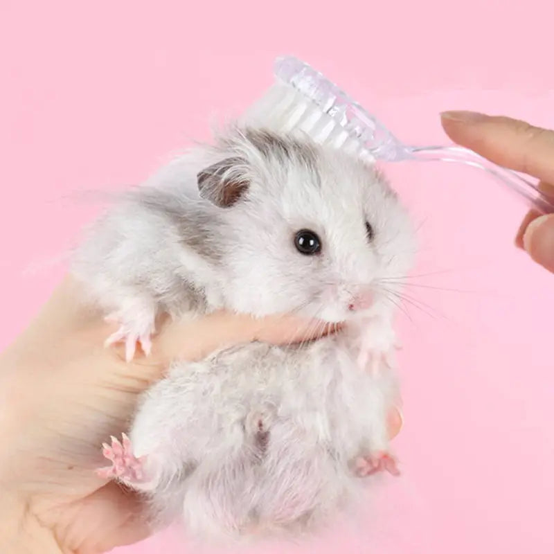 Miniature Hamster Grooming Brush