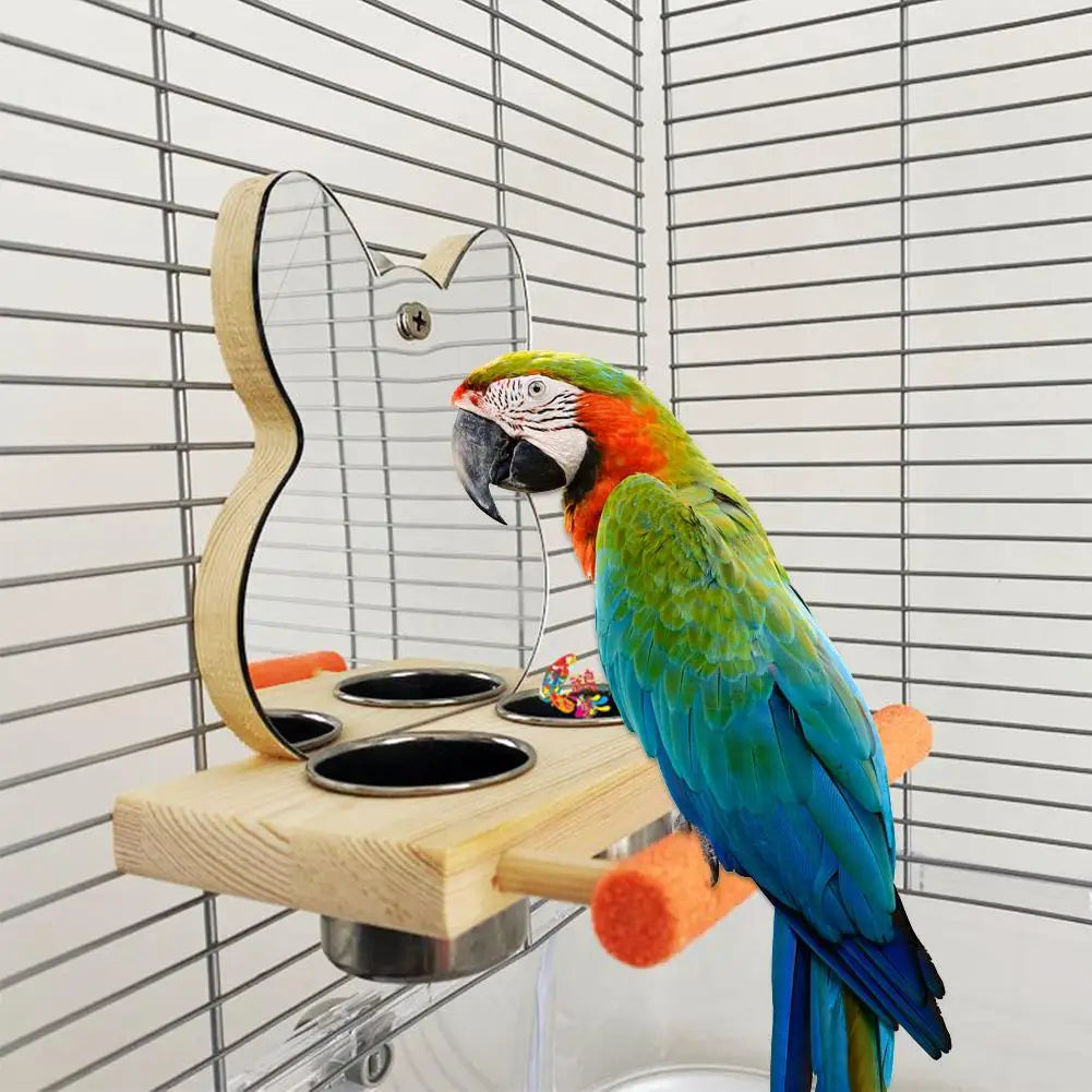 Mirror & Feeder Parrot Perch