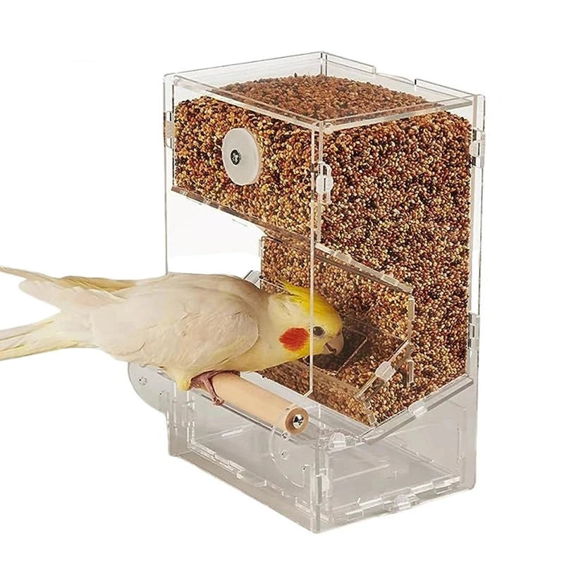 Acrylic Bird Seed Perch