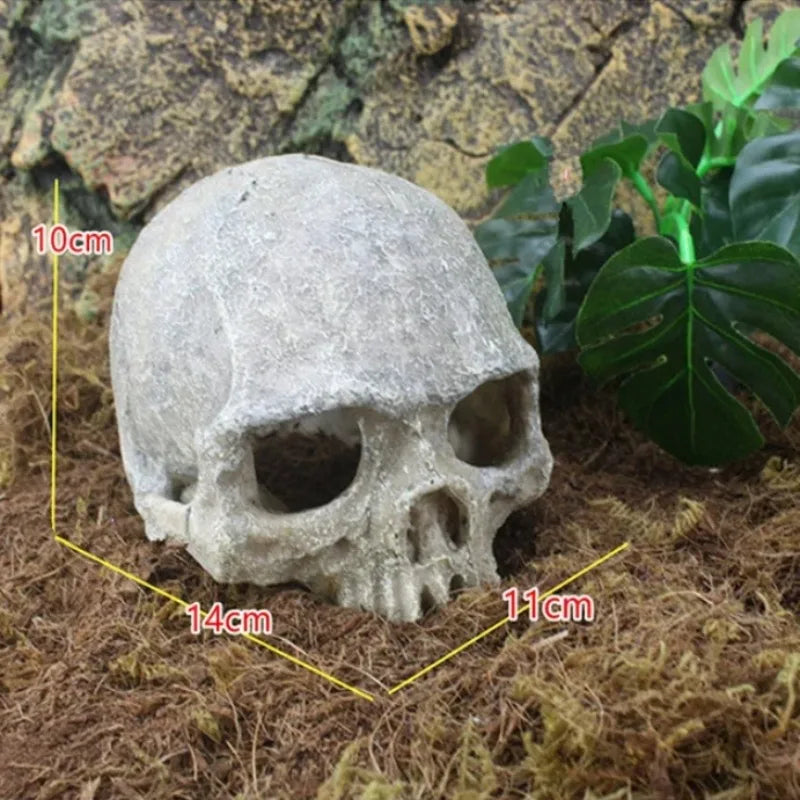 Pirate Skull Aquarium Decor