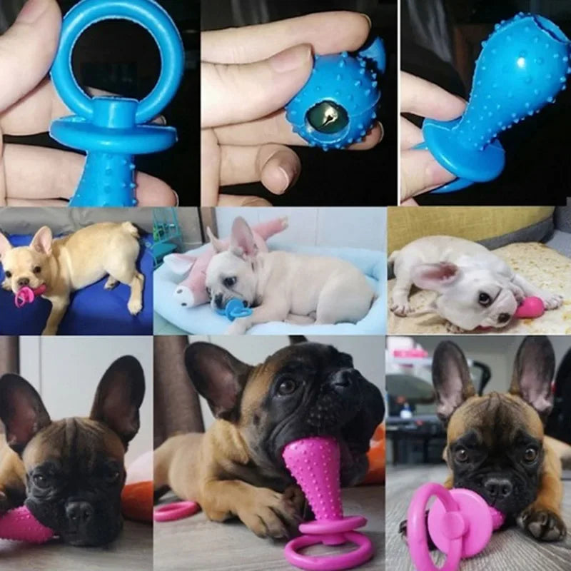 Small Dogs Rubber Pacifier