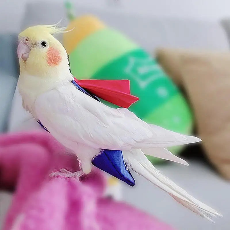 Heroic Bird Diaper Outfit