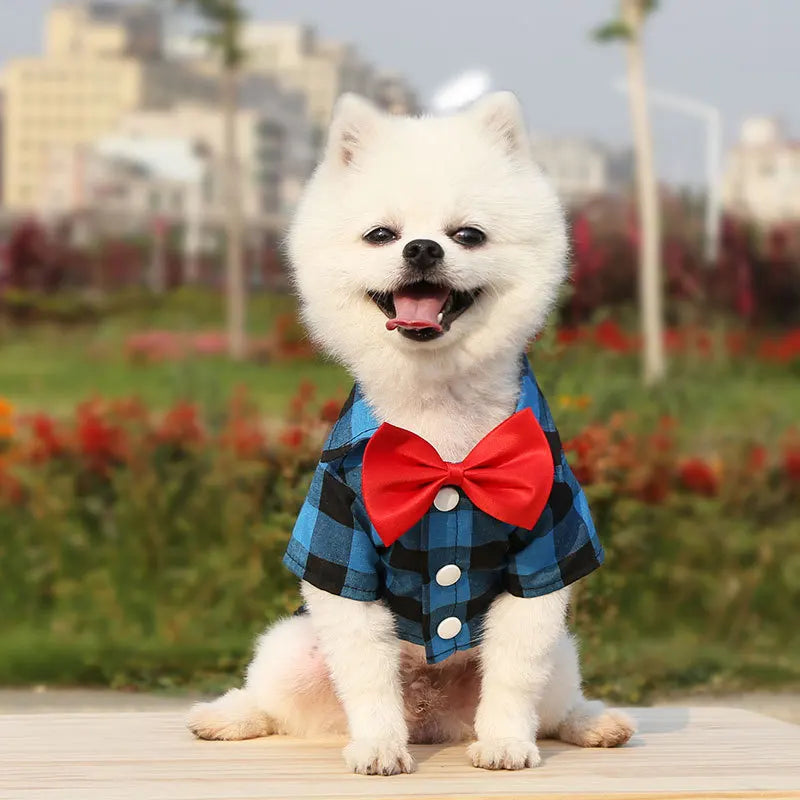 Checkered Bowtie Dog Shirt