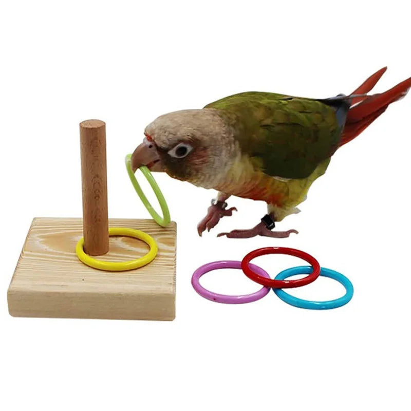 Bird Colorful Ring Toss