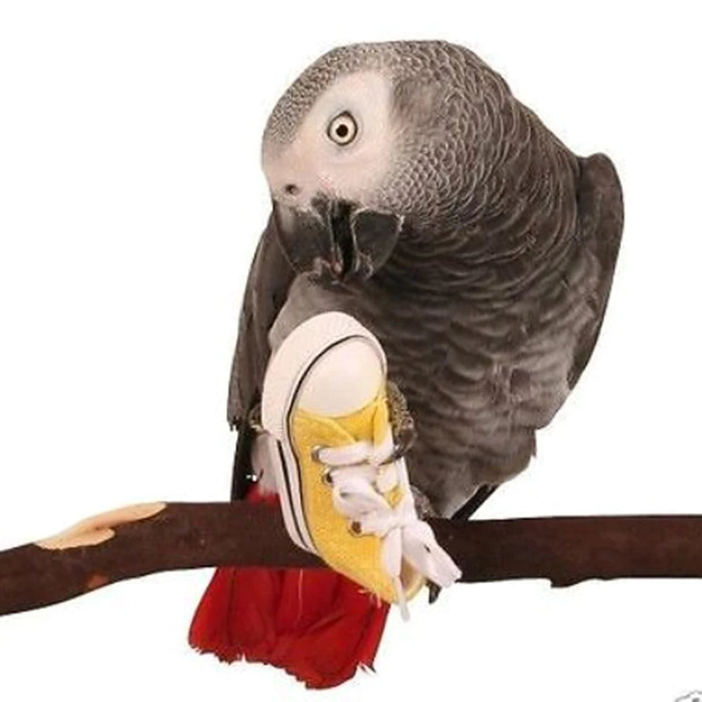 Petite Parrot Playtime Sneakers