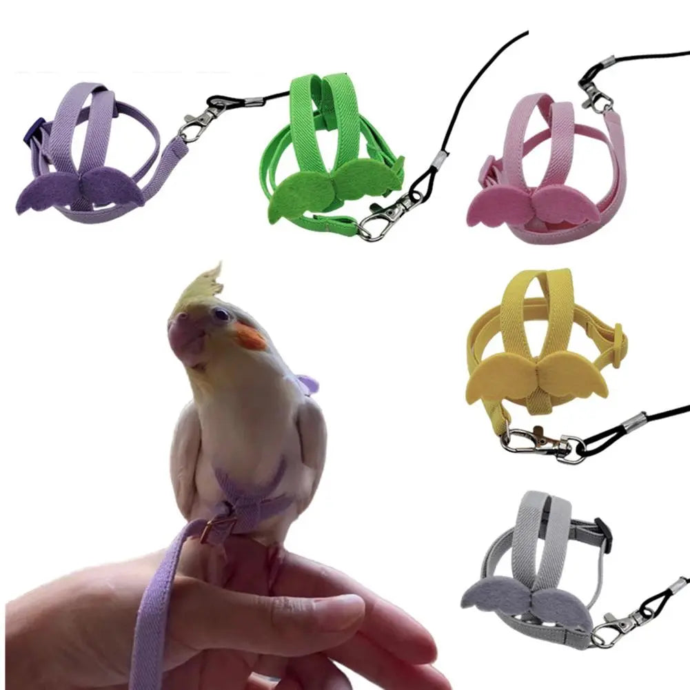 Comfortable Bird Walking Harness