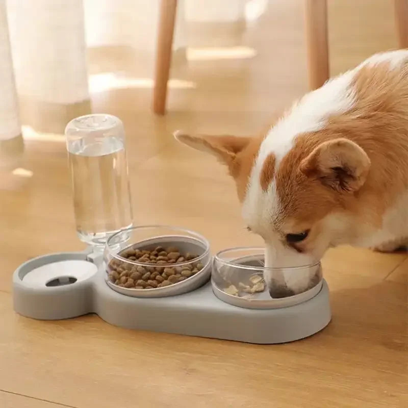 Dual Bowl Dog Station With Water Fountain