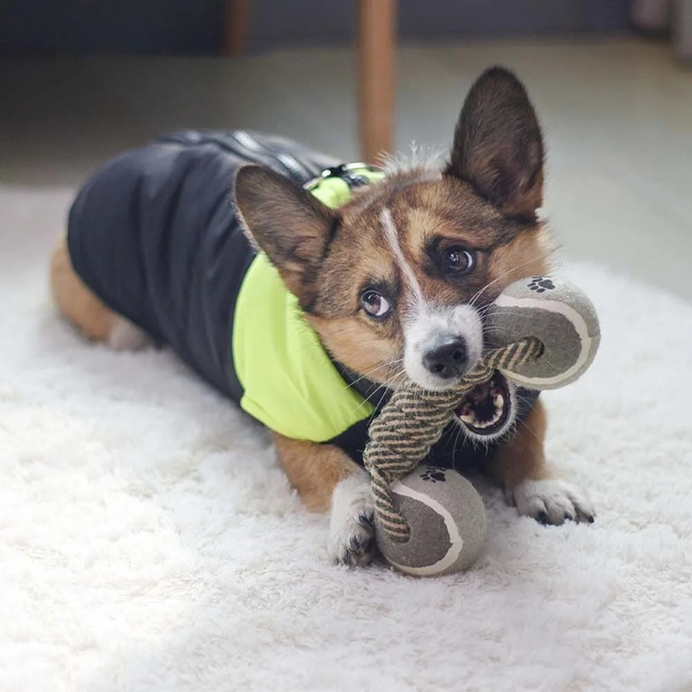 Playful Rope Dog Toy