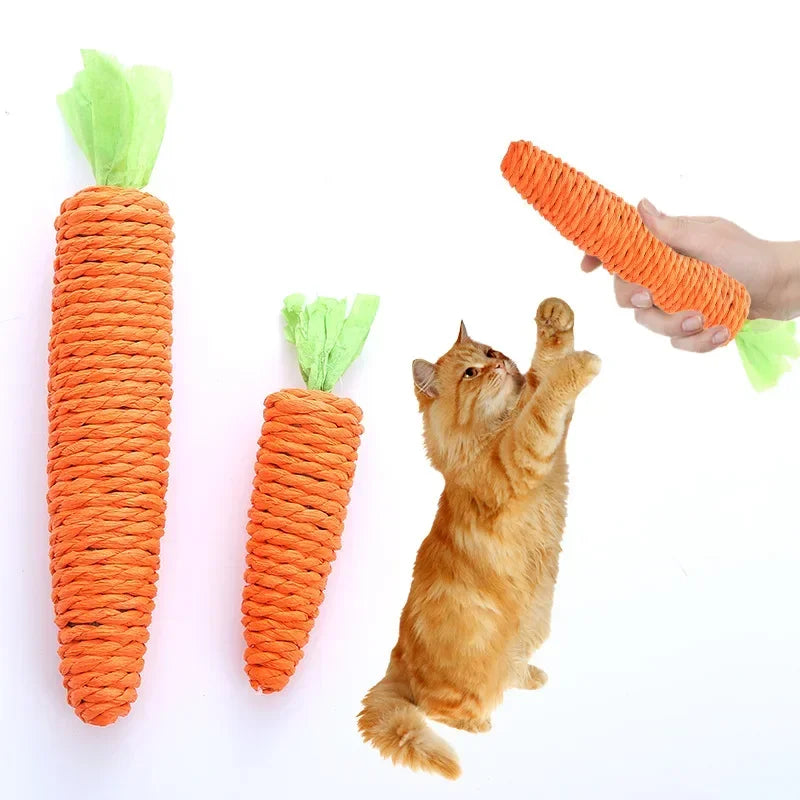 Interactive Carrot Cat Toy