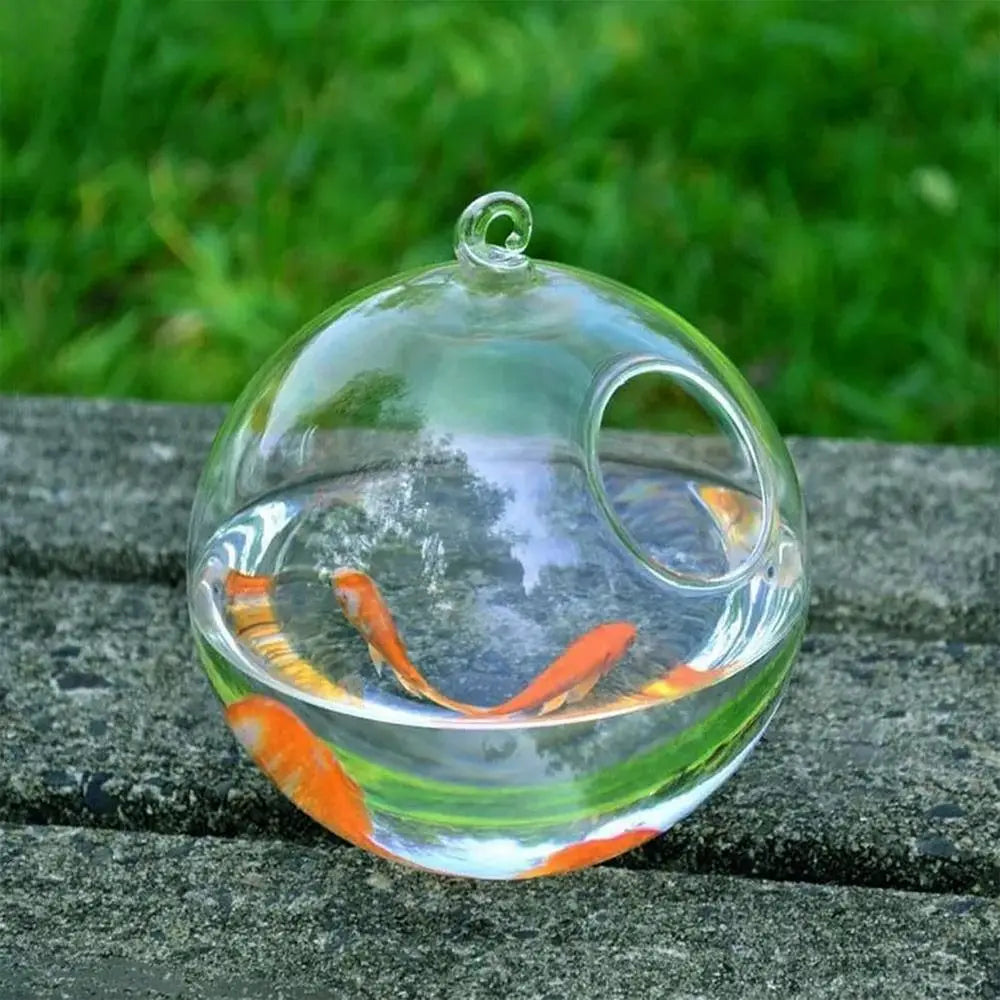 Decorative Hanging Fish Bowl