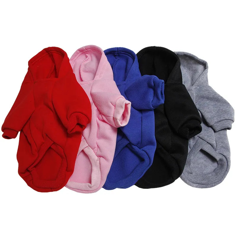 Colorful Rabbit Hoodie Sweater