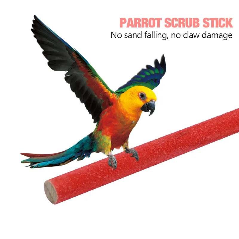 Colorful Perch Bird Rest