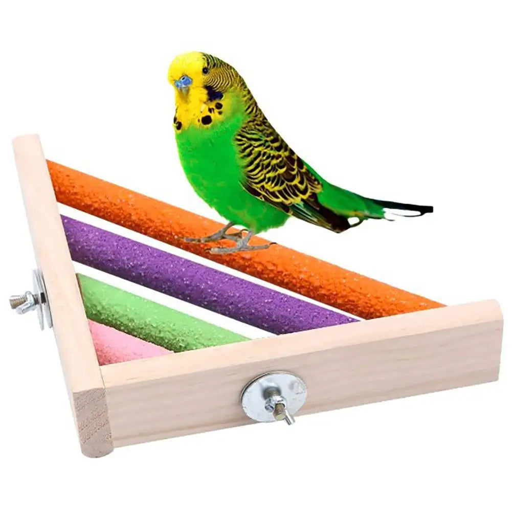 Colorful Pedicure Bird Perch