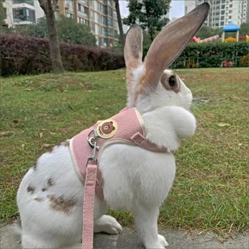 Rabbit Walking Vest Set