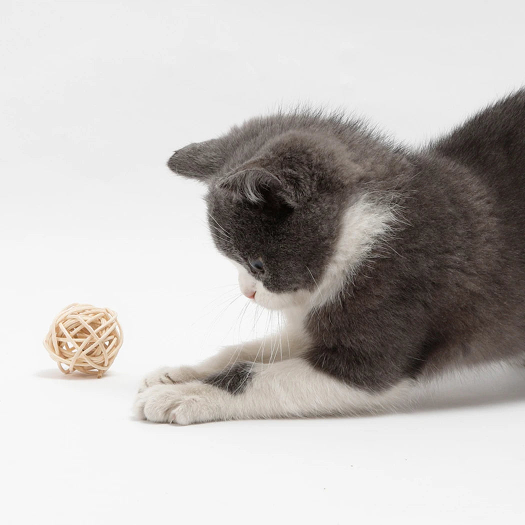 Rattan Feathered Cat Ball