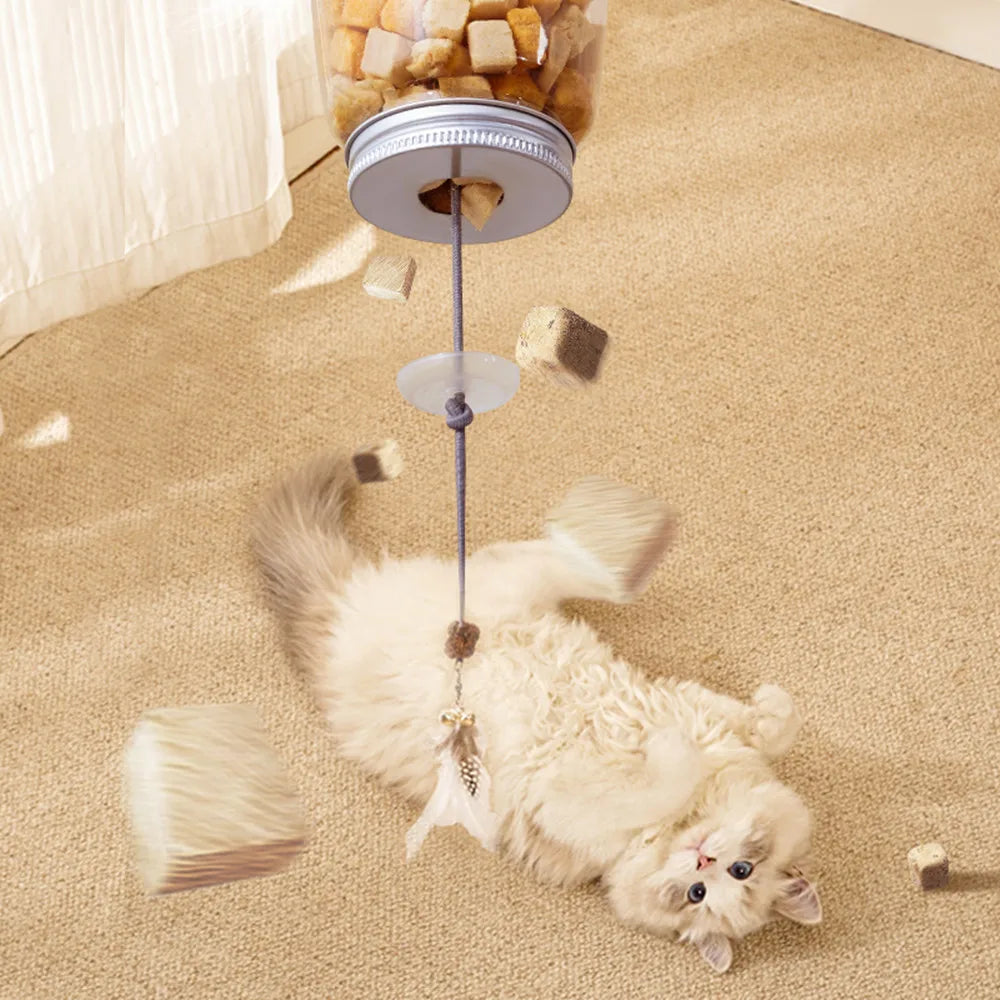 Cat Food Dispenser Toy