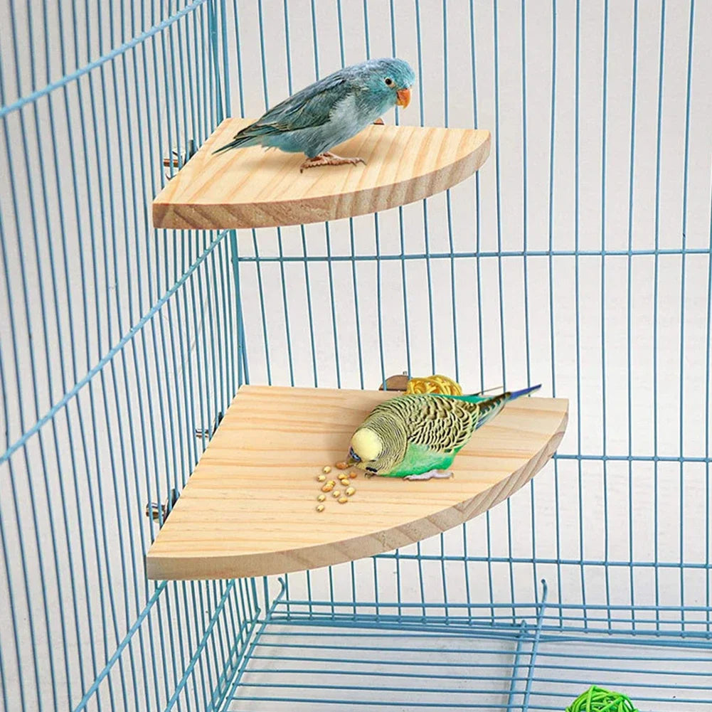 Assorted Wooden Bird Perches