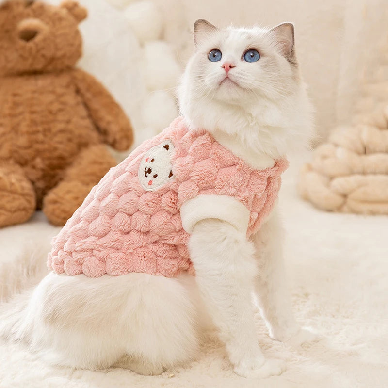 Cozy Bear Cat Sweater