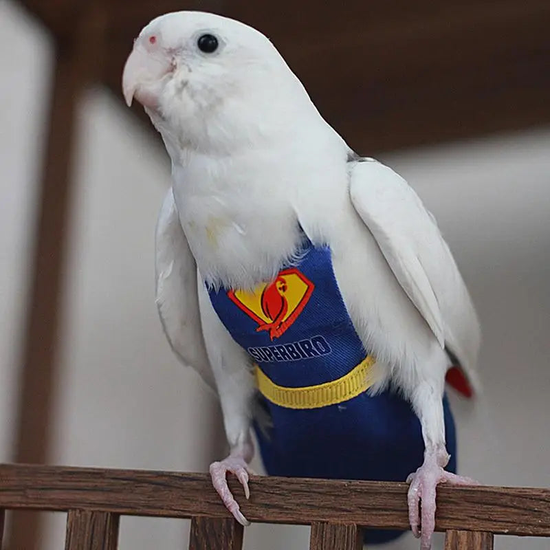 Heroic Bird Diaper Outfit