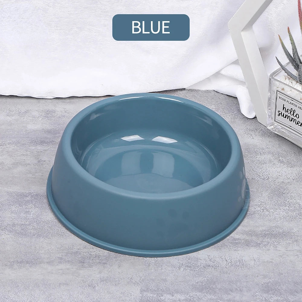 Colorful Pet Feeding Bowl