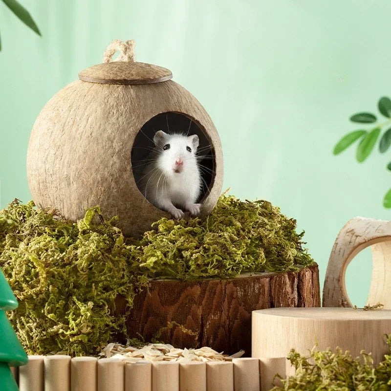 Coconut Sphere Hamster Home