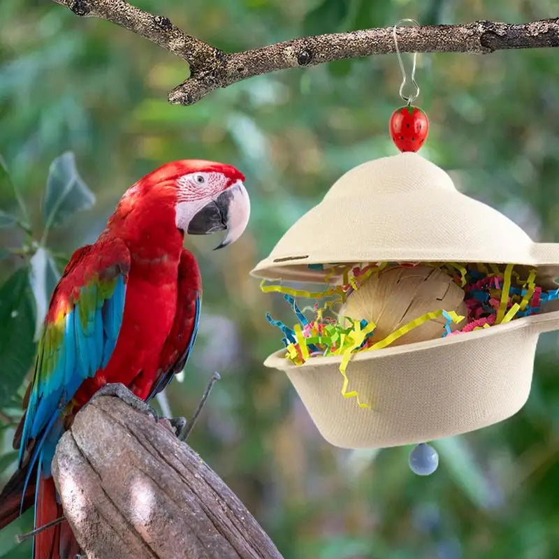 Creative Foraging bird Toy