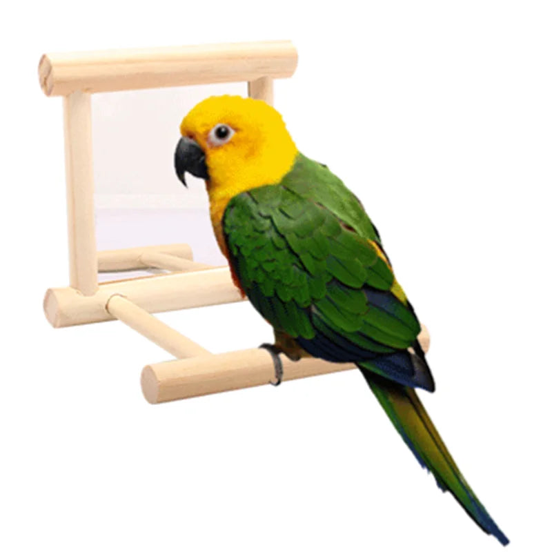 Bird Perch Mirror Stand