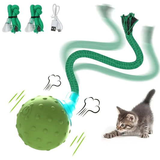 Interactive Cat Play Ball