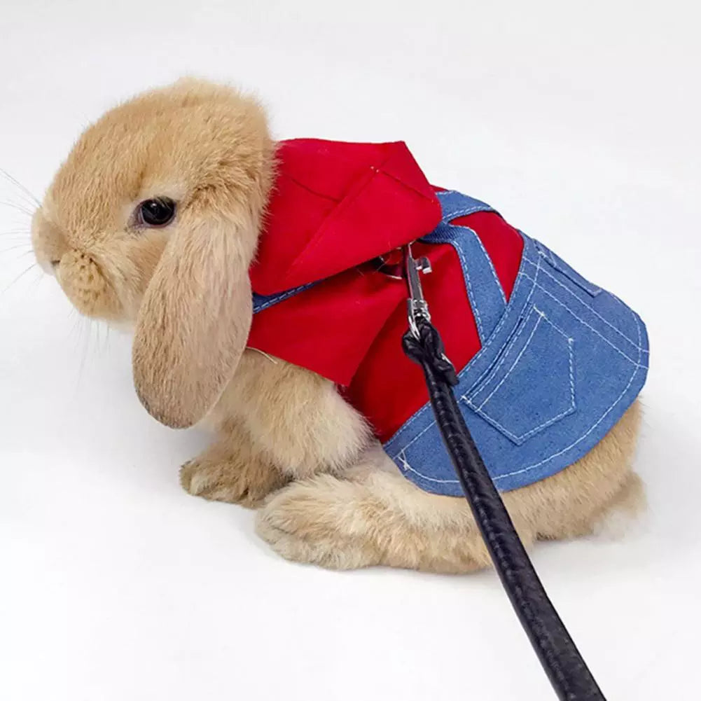 Bunny Coat with Leash