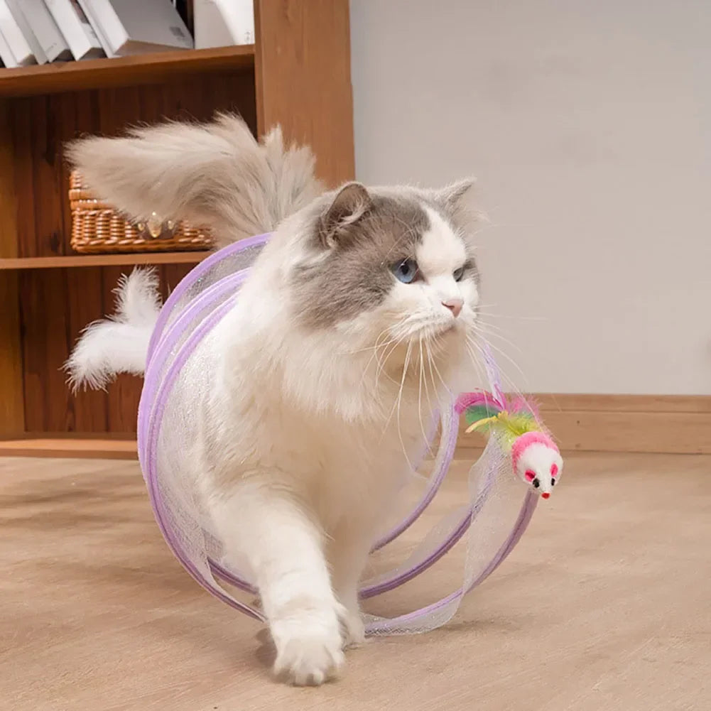 Glitter Coil Cat Toy - Adventure Tunnel for Curious Felines