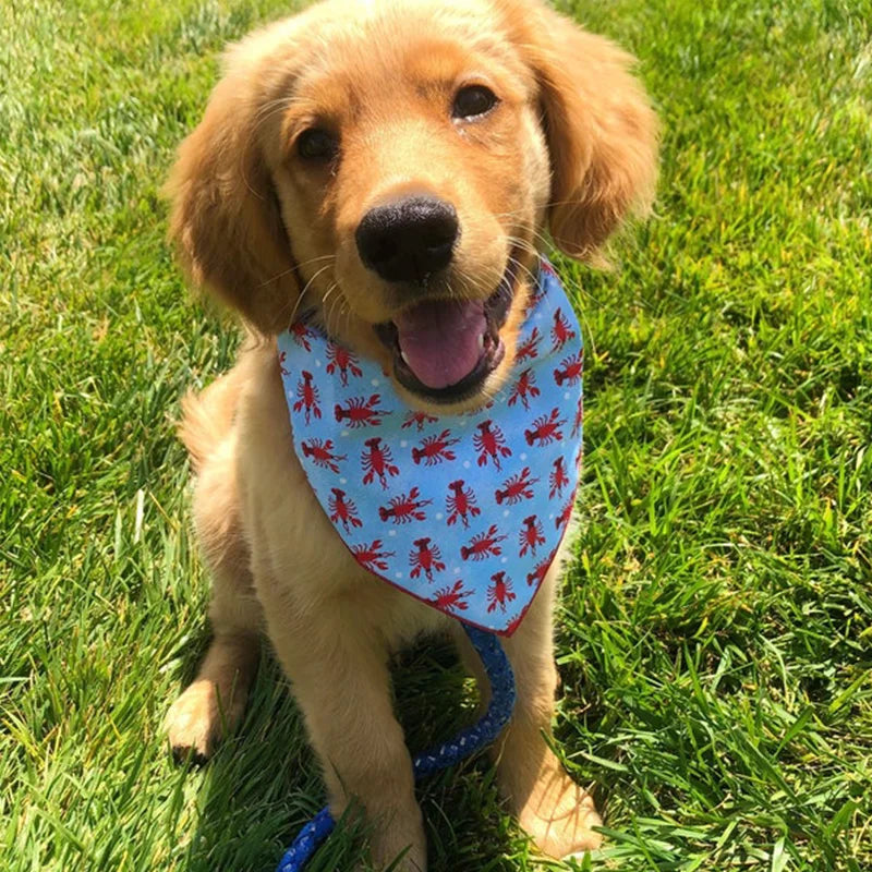 Colorful Dog Bandana Wear