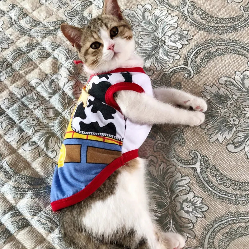 Cute Stylish Cat Outfit