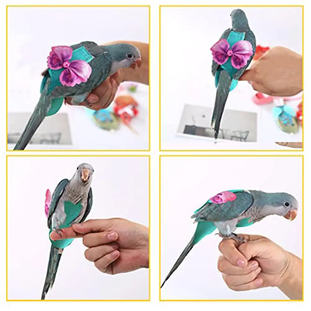 Parrot Diaper Bow Accessory with leash