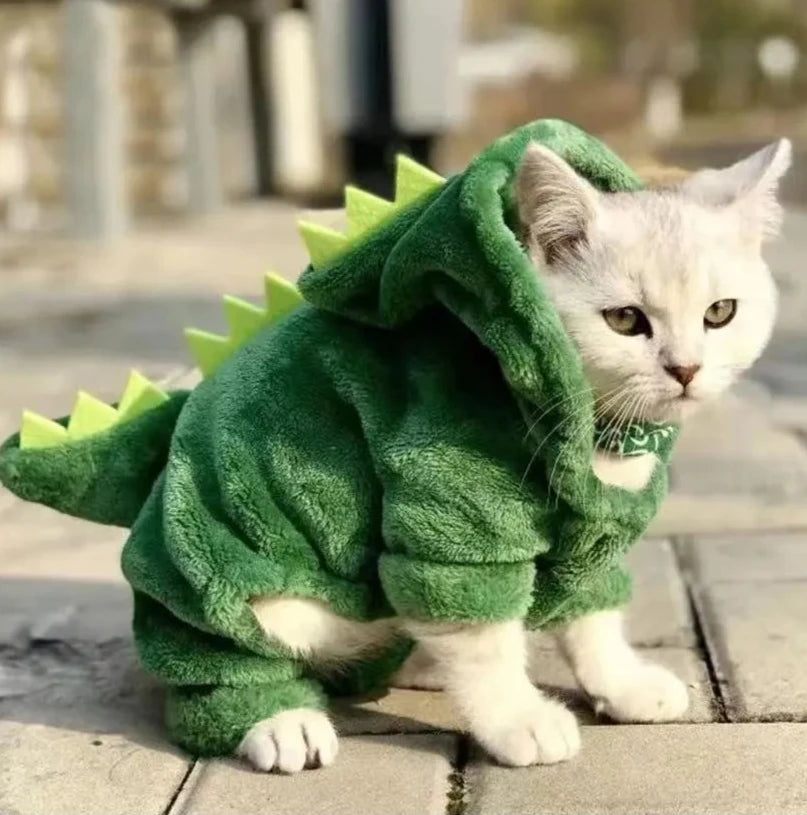 Dino Delight Cat Costume